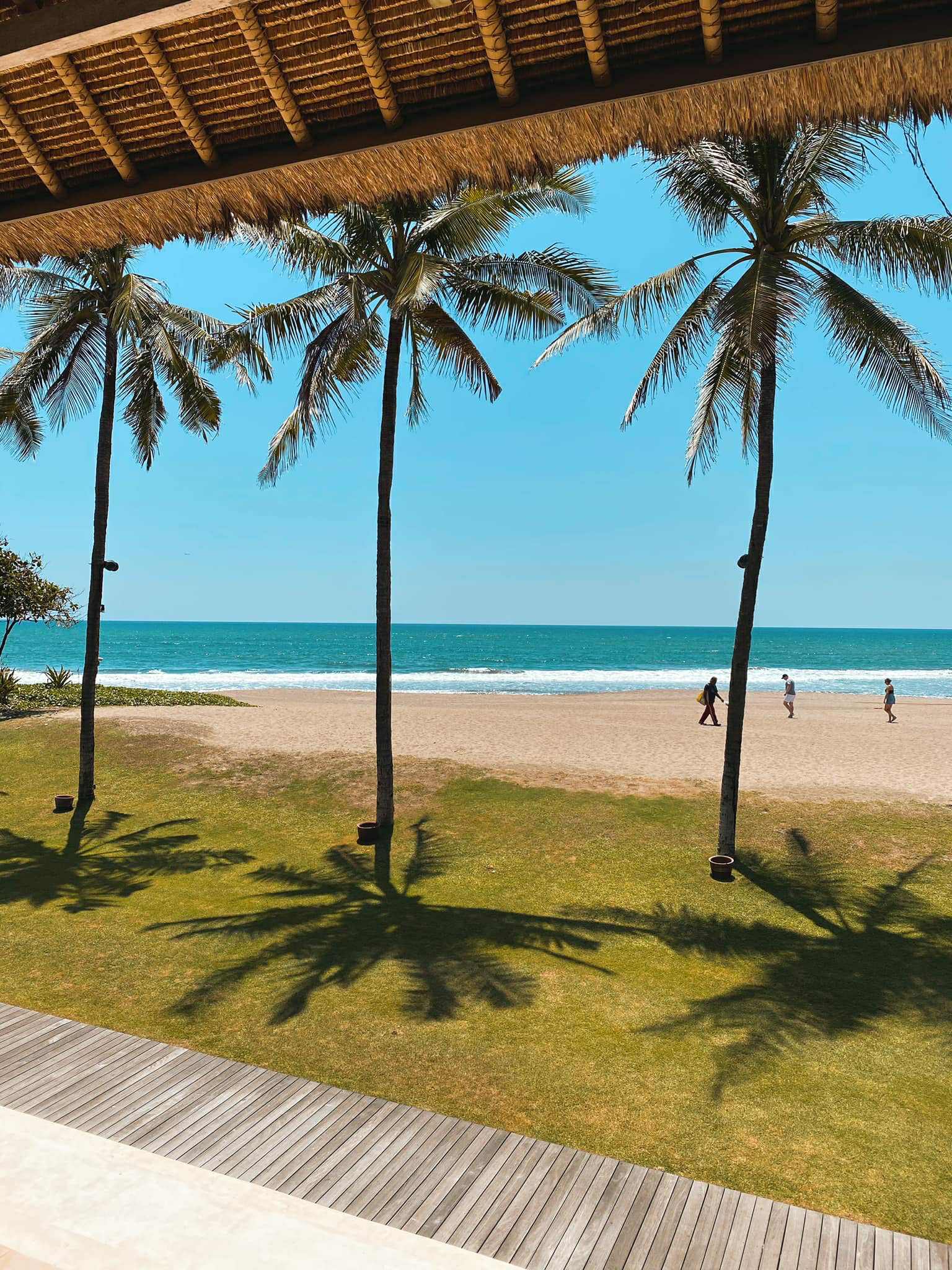 About MacKenzie Edwards a086e7d6 dafc 4b68 843e f6895549dd00